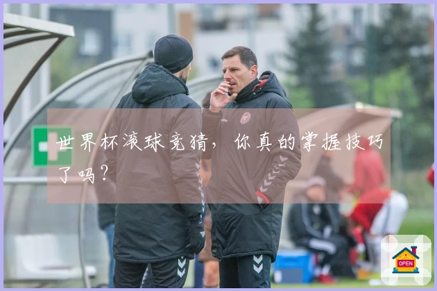 世界杯滚球竞猜，你真的掌握技巧了吗？