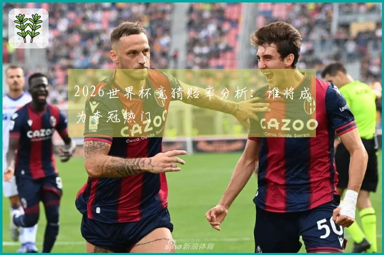 2026世界杯竞猜赔率分析：谁将成为夺冠热门