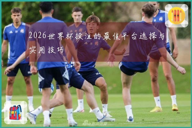 2026世界杯投注的最佳平台选择与实用技巧
