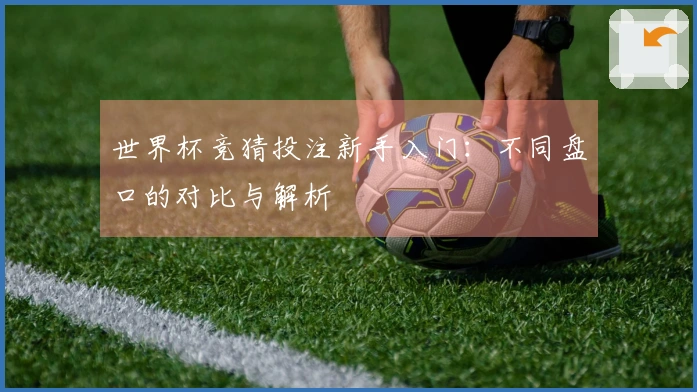 世界杯竞猜投注新手入门：不同盘口的对比与解析