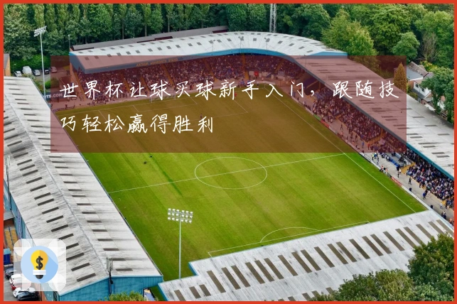 世界杯让球买球新手入门，跟随技巧轻松赢得胜利