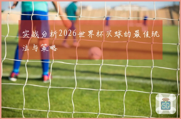 实战分析2026世界杯买球的最佳玩法与策略