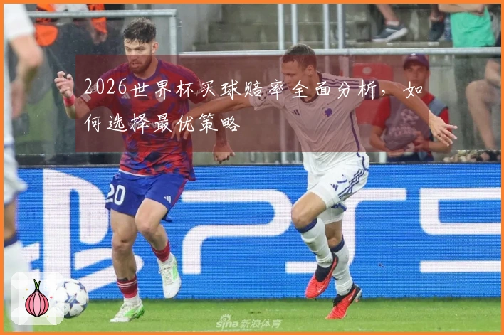 2026世界杯买球赔率全面分析,如何选择最优策略