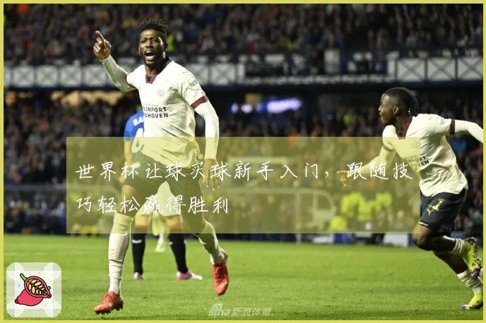 世界杯让球买球新手入门，跟随技巧轻松赢得胜利