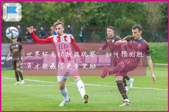 世界杯竞猜数据观察：如何预测胜负才能赢得更多奖励